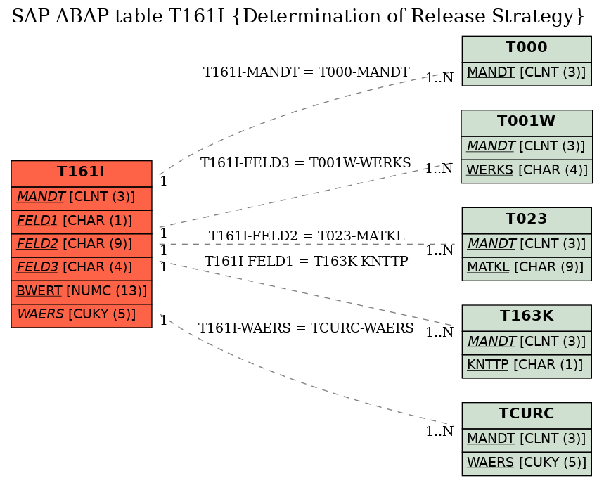 E-R Diagram for table T161I (Determination of Release Strategy)