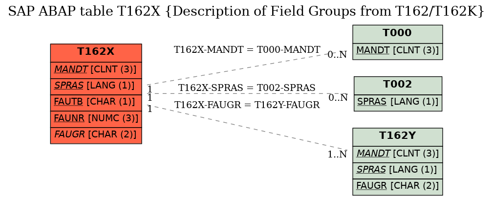 E-R Diagram for table T162X (Description of Field Groups from T162/T162K)