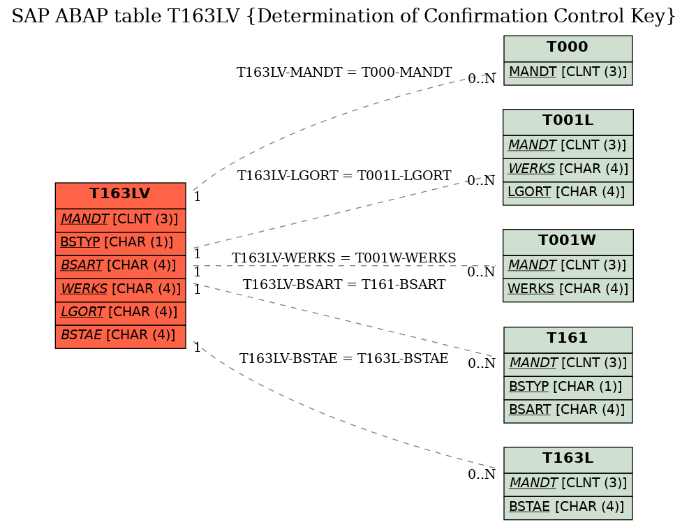 E-R Diagram for table T163LV (Determination of Confirmation Control Key)