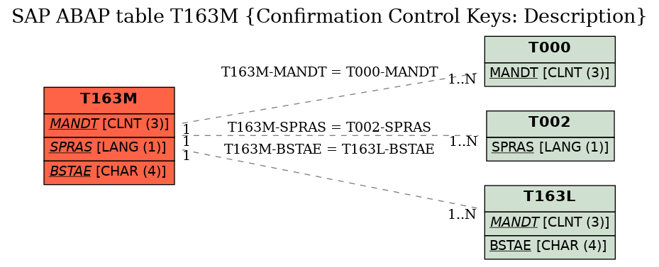 E-R Diagram for table T163M (Confirmation Control Keys: Description)