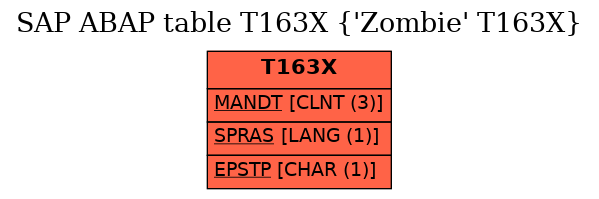 E-R Diagram for table T163X (