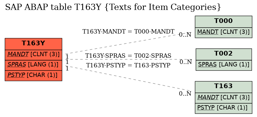 E-R Diagram for table T163Y (Texts for Item Categories)