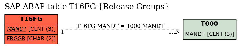 E-R Diagram for table T16FG (Release Groups)