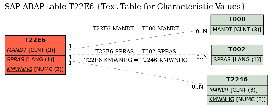 E-R Diagram for table T22E6 (Text Table for Characteristic Values)