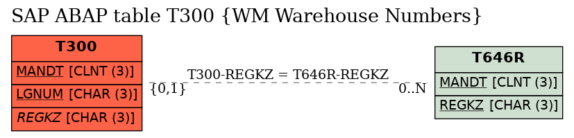 E-R Diagram for table T300 (WM Warehouse Numbers)