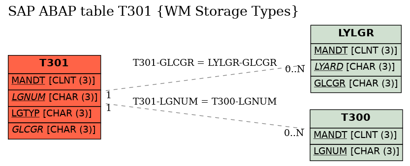 E-R Diagram for table T301 (WM Storage Types)