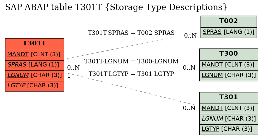 E-R Diagram for table T301T (Storage Type Descriptions)