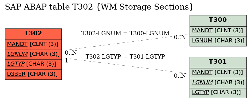 E-R Diagram for table T302 (WM Storage Sections)