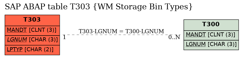 E-R Diagram for table T303 (WM Storage Bin Types)