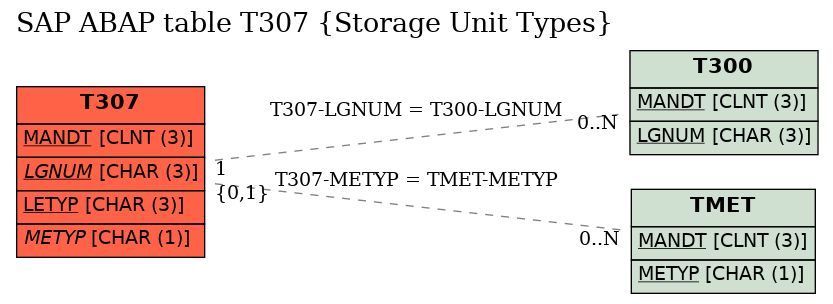 E-R Diagram for table T307 (Storage Unit Types)