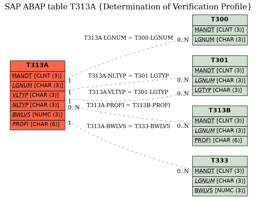 E-R Diagram for table T313A (Determination of Verification Profile)