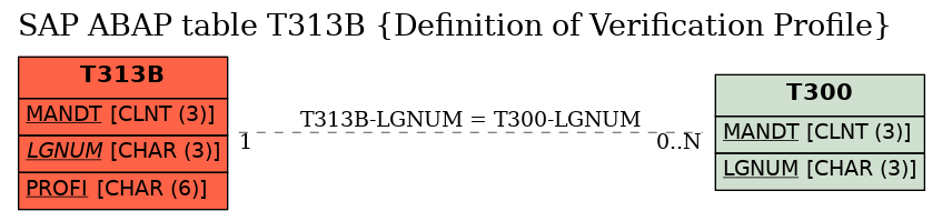 E-R Diagram for table T313B (Definition of Verification Profile)