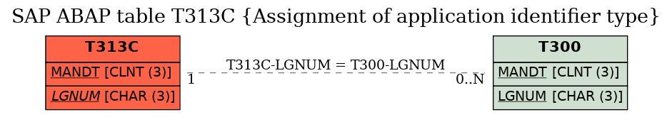 E-R Diagram for table T313C (Assignment of application identifier type)