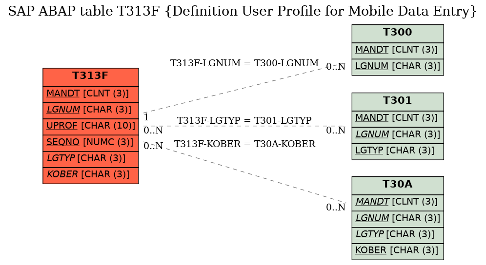 E-R Diagram for table T313F (Definition User Profile for Mobile Data Entry)