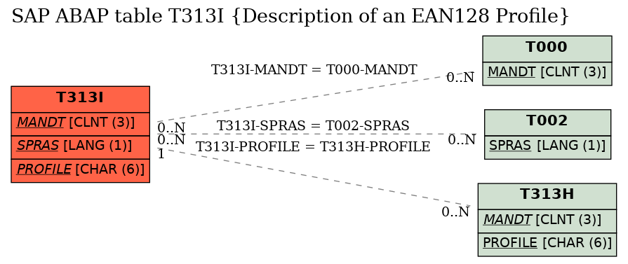 E-R Diagram for table T313I (Description of an EAN128 Profile)