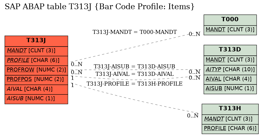 E-R Diagram for table T313J (Bar Code Profile: Items)