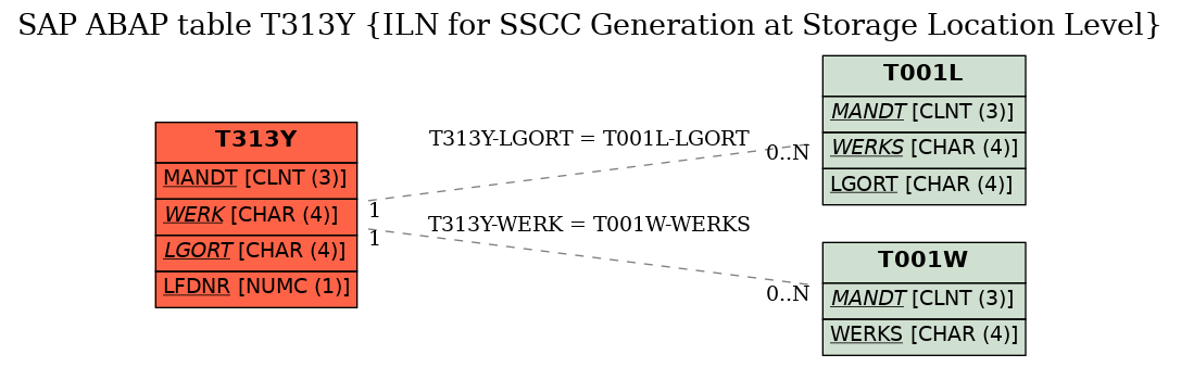 E-R Diagram for table T313Y (ILN for SSCC Generation at Storage Location Level)