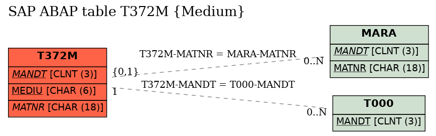 E-R Diagram for table T372M (Medium)