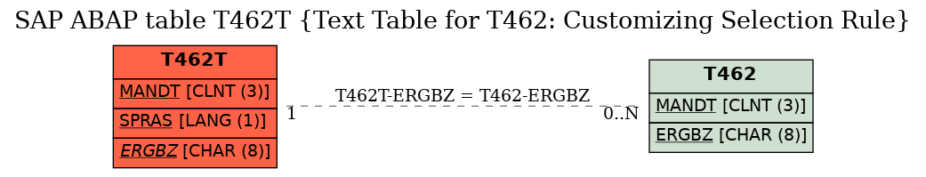 E-R Diagram for table T462T (Text Table for T462: Customizing Selection Rule)