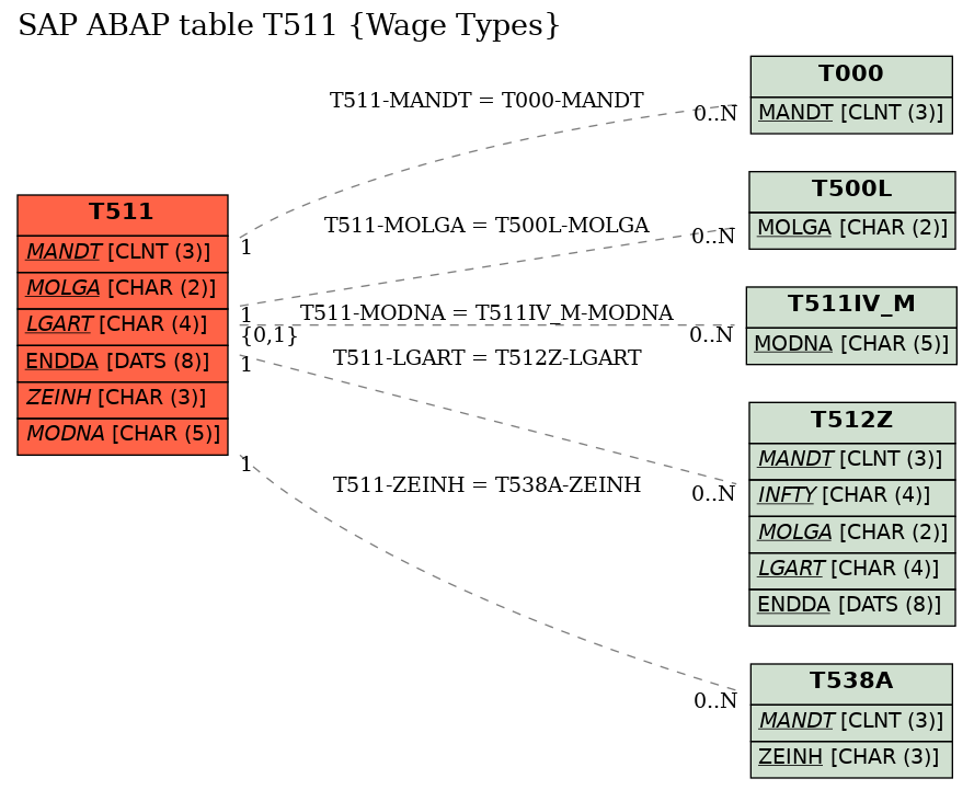 E-R Diagram for table T511 (Wage Types)