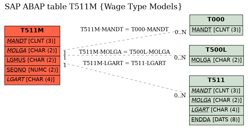 E-R Diagram for table T511M (Wage Type Models)