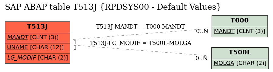 E-R Diagram for table T513J (RPDSYS00 - Default Values)