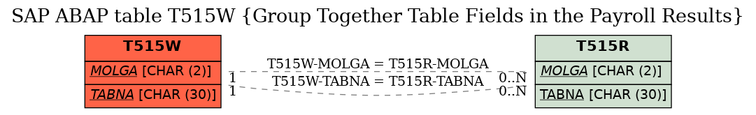 E-R Diagram for table T515W (Group Together Table Fields in the Payroll Results)