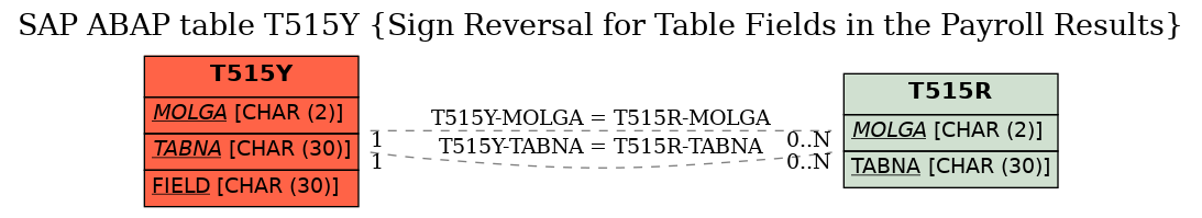 E-R Diagram for table T515Y (Sign Reversal for Table Fields in the Payroll Results)