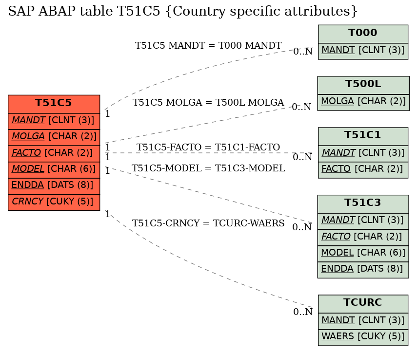 E-R Diagram for table T51C5 (Country specific attributes)