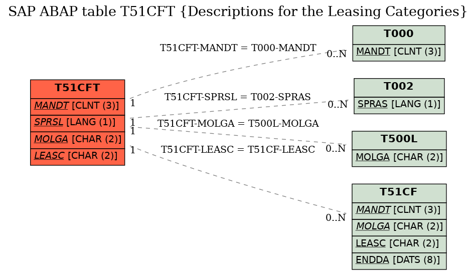 E-R Diagram for table T51CFT (Descriptions for the Leasing Categories)