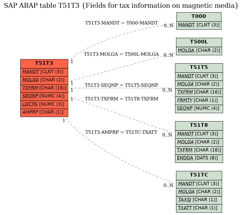 E-R Diagram for table T51T3 (Fields for tax information on magnetic media)