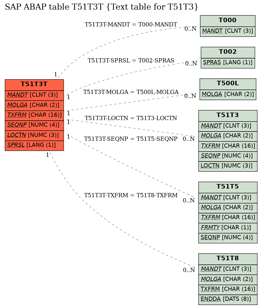 E-R Diagram for table T51T3T (Text table for T51T3)