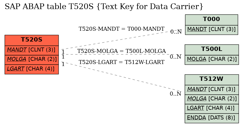 E-R Diagram for table T520S (Text Key for Data Carrier)