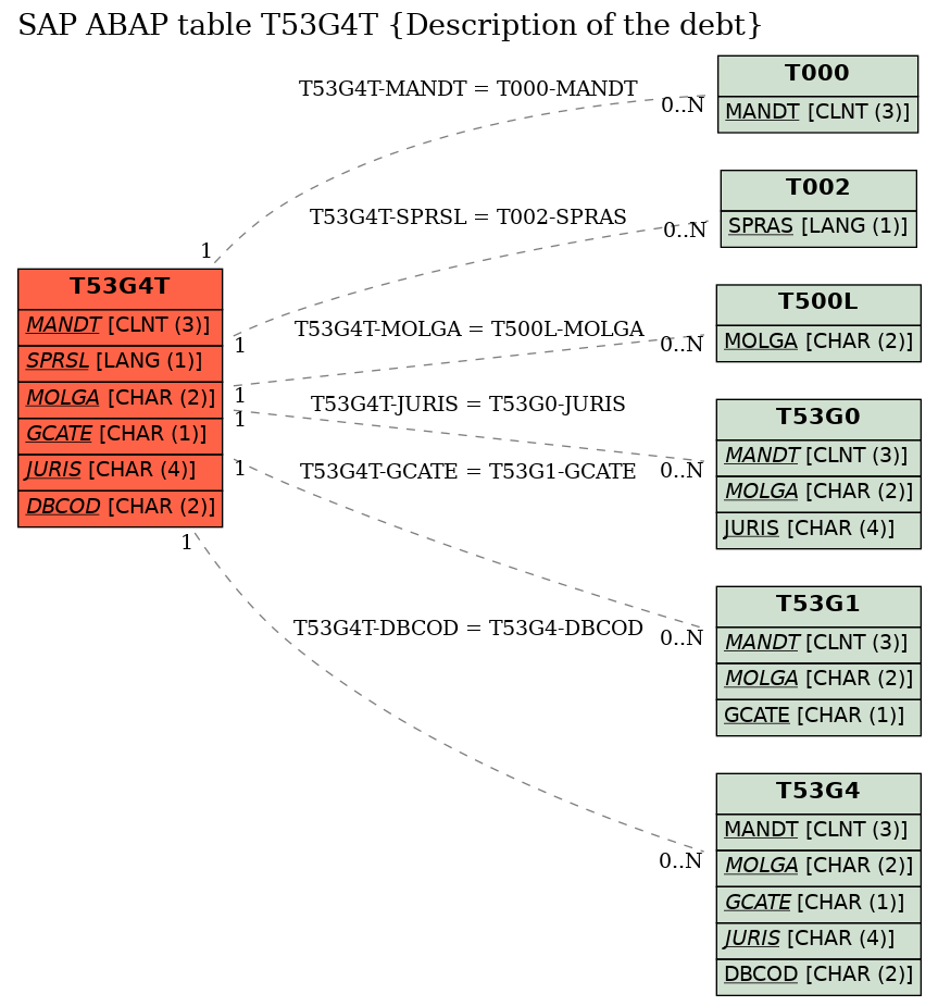 E-R Diagram for table T53G4T (Description of the debt)