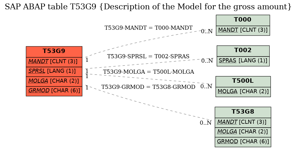 E-R Diagram for table T53G9 (Description of the Model for the gross amount)