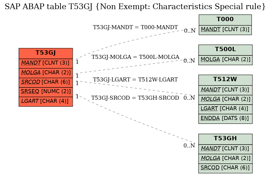 E-R Diagram for table T53GJ (Non Exempt: Characteristics Special rule)