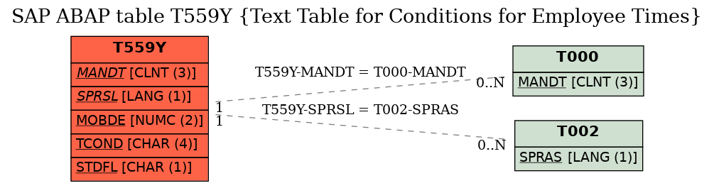 E-R Diagram for table T559Y (Text Table for Conditions for Employee Times)