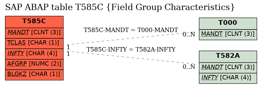 E-R Diagram for table T585C (Field Group Characteristics)
