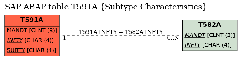 E-R Diagram for table T591A (Subtype Characteristics)