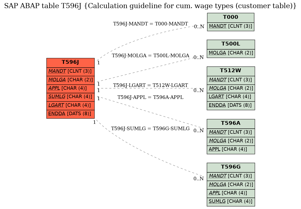 E-R Diagram for table T596J (Calculation guideline for cum. wage types (customer table))