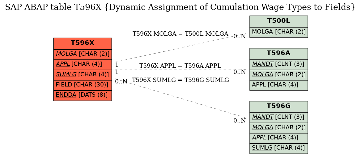 E-R Diagram for table T596X (Dynamic Assignment of Cumulation Wage Types to Fields)