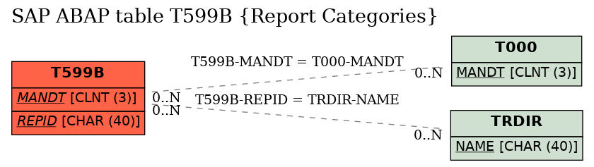 E-R Diagram for table T599B (Report Categories)