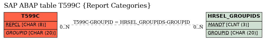 E-R Diagram for table T599C (Report Categories)