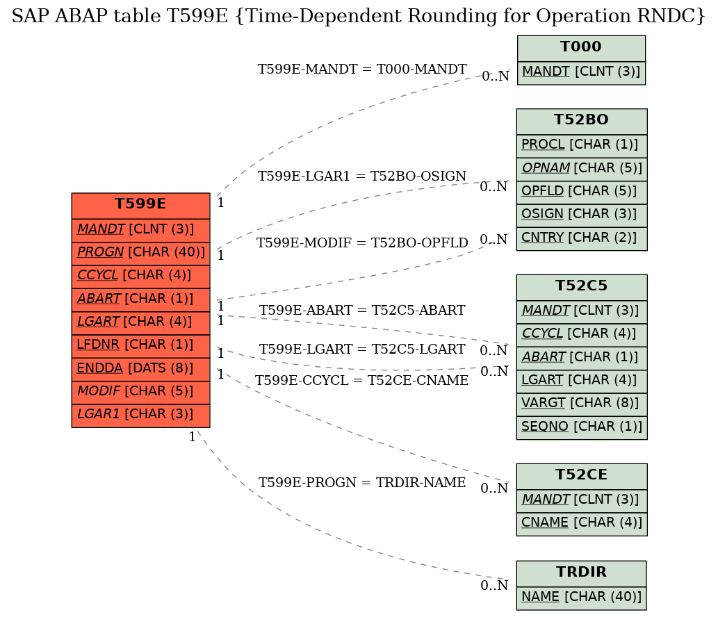 E-R Diagram for table T599E (Time-Dependent Rounding for Operation RNDC)