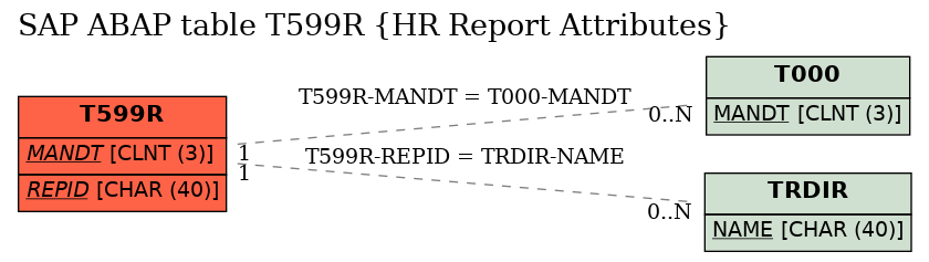E-R Diagram for table T599R (HR Report Attributes)