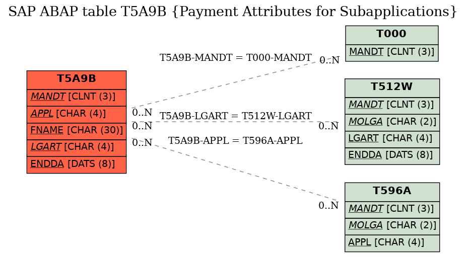 E-R Diagram for table T5A9B (Payment Attributes for Subapplications)