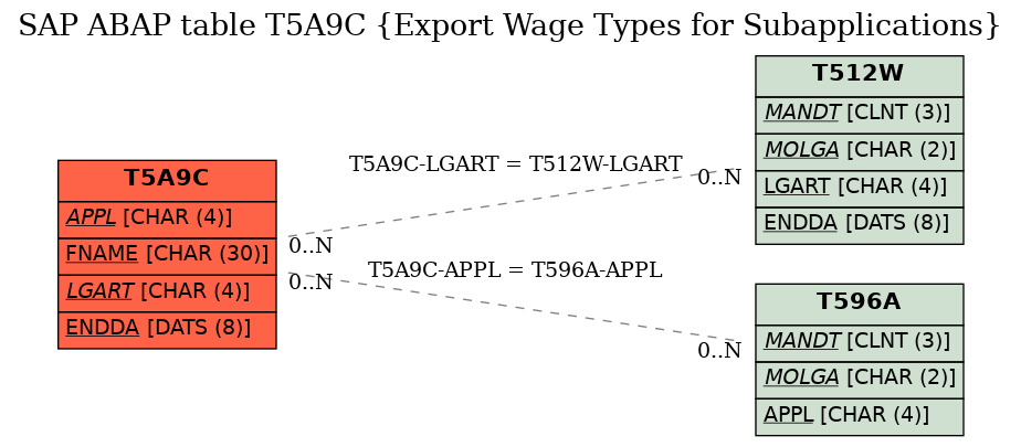 E-R Diagram for table T5A9C (Export Wage Types for Subapplications)
