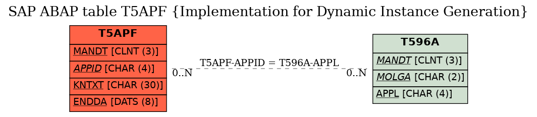 E-R Diagram for table T5APF (Implementation for Dynamic Instance Generation)