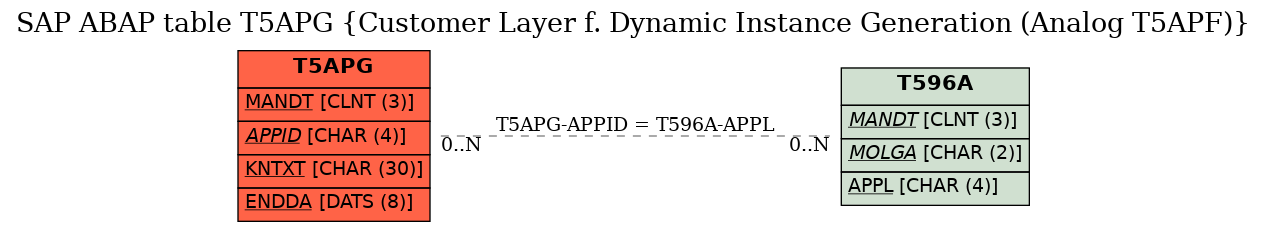 E-R Diagram for table T5APG (Customer Layer f. Dynamic Instance Generation (Analog T5APF))