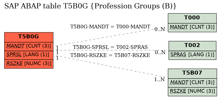 E-R Diagram for table T5B0G (Profession Groups (B))